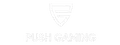 Push Gaming éditeur