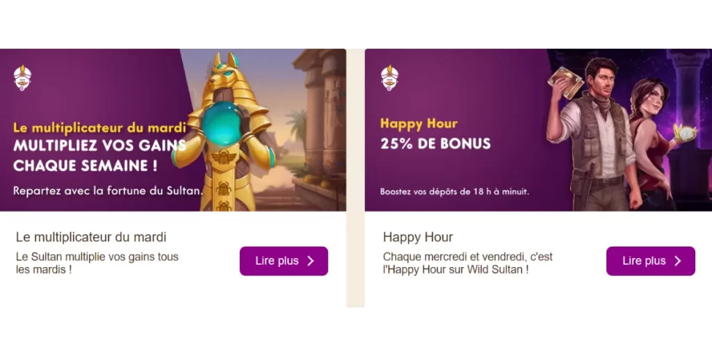 wild sultan casino promotions