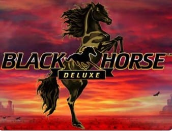 machine a sous achat de bonus black horse deluxe