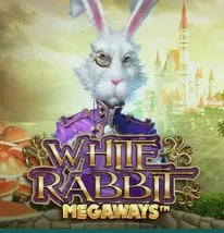 machine a sous achat de bonus white rabbit megaways