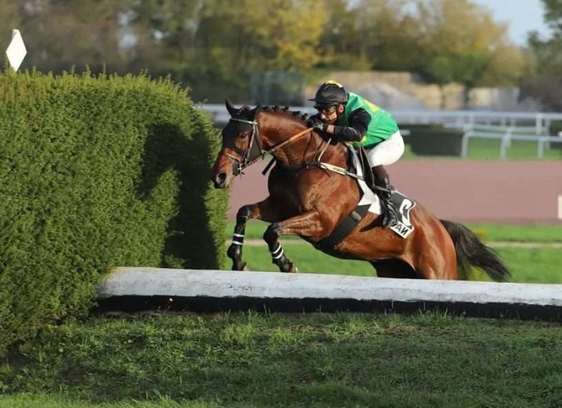 découvrez comment maximiser vos chances de gagner à atout coinche grâce à nos stratégies et conseils experts.